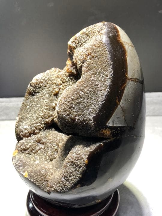 セプタリアン 特大サイズ卵