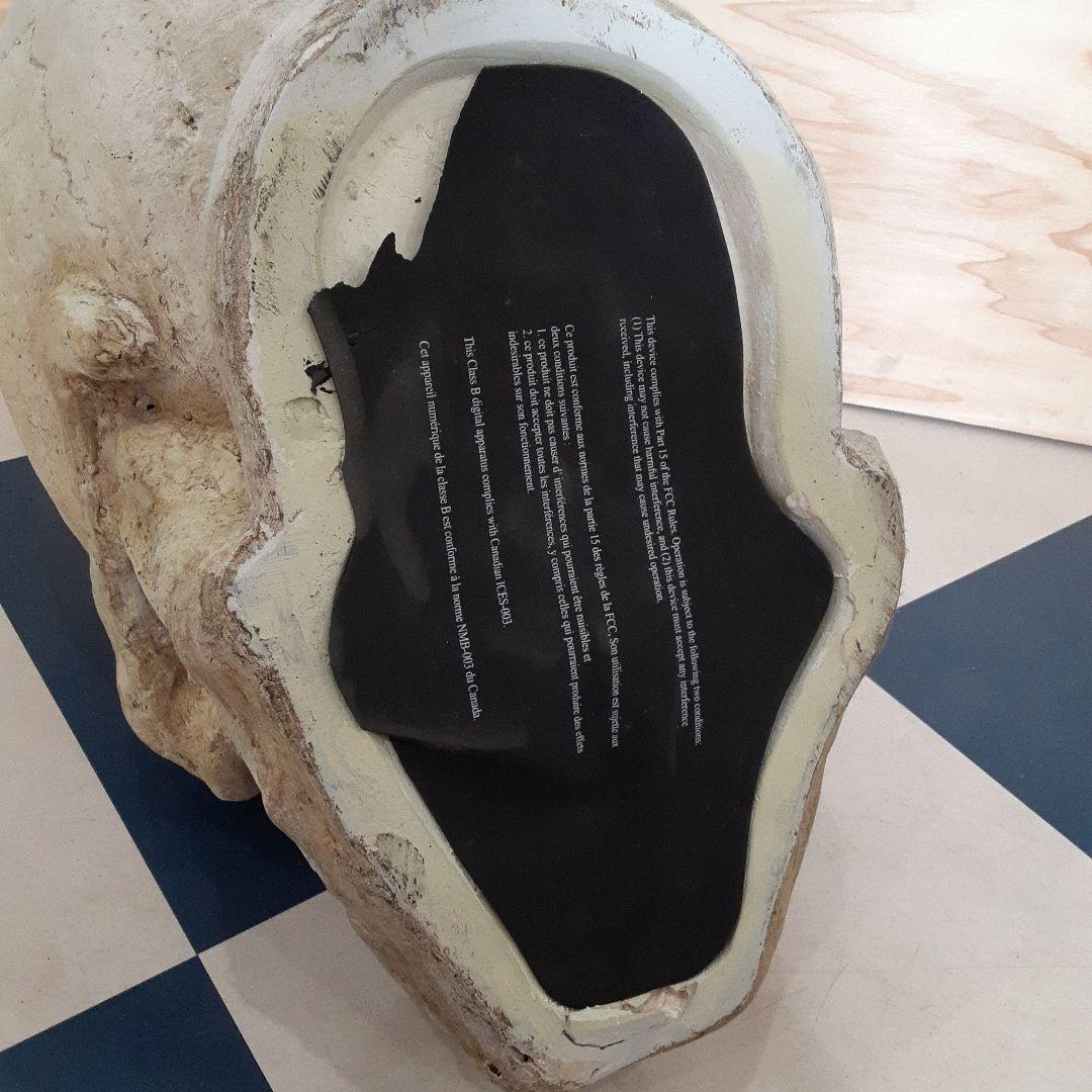 【BIGサイズ/スカル】商品番号230