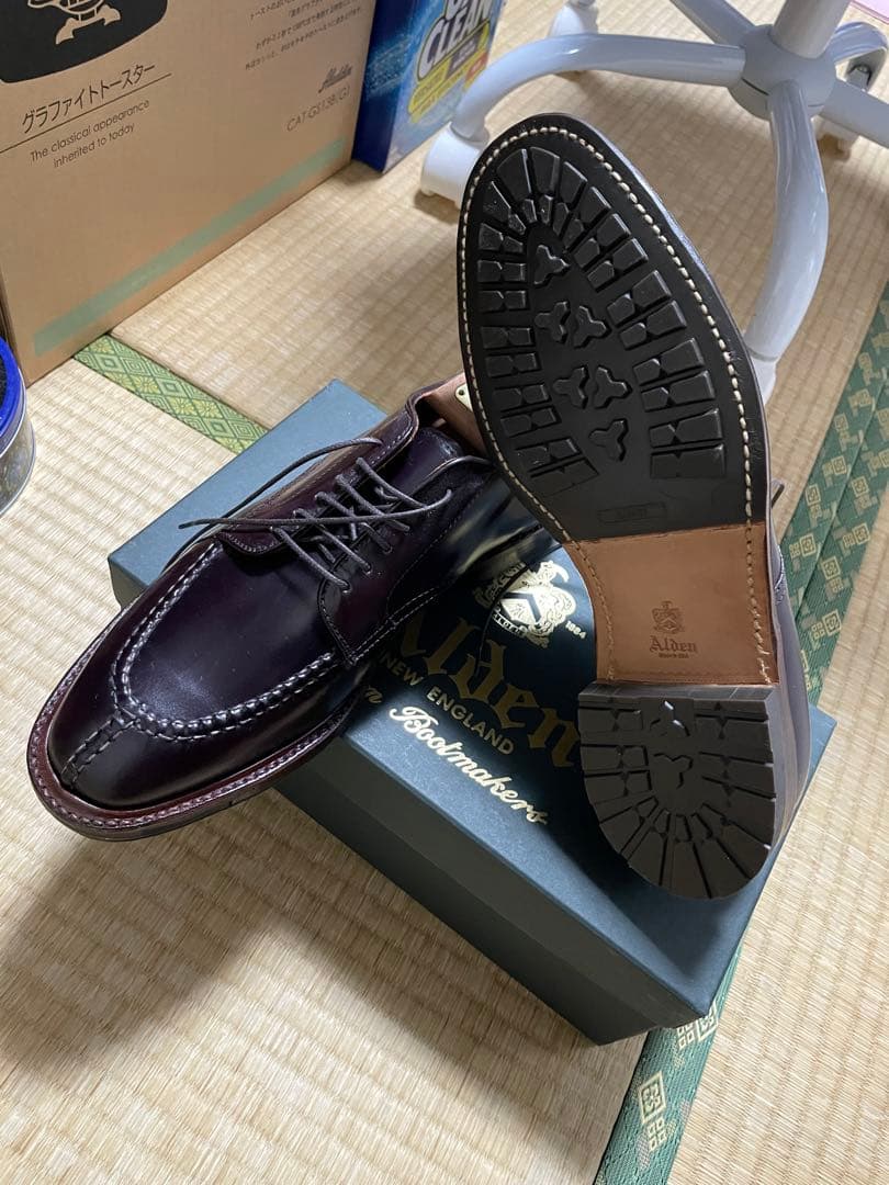 レア品　Alden 4330 CY 8D