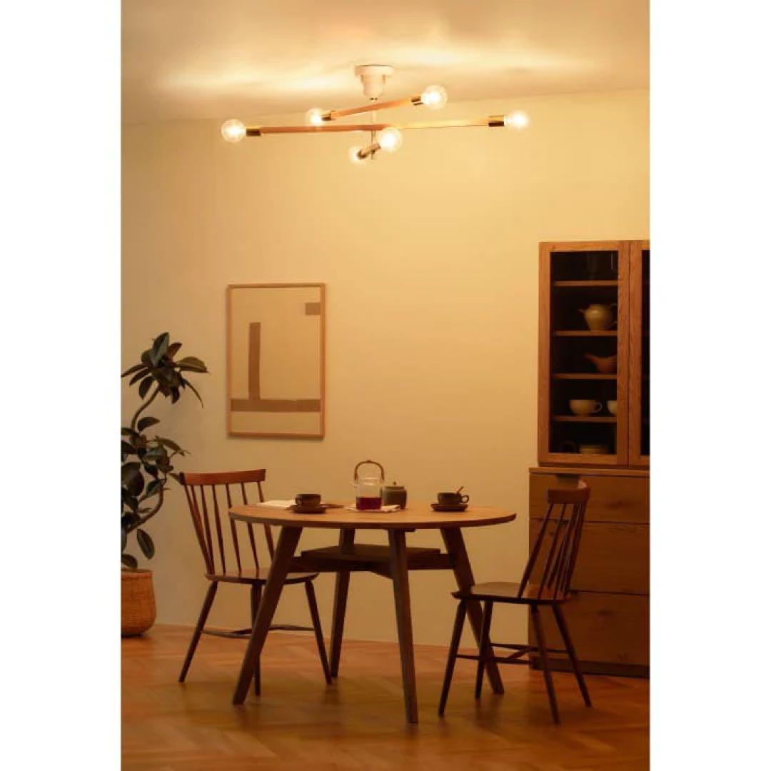 Astre baum 電球付