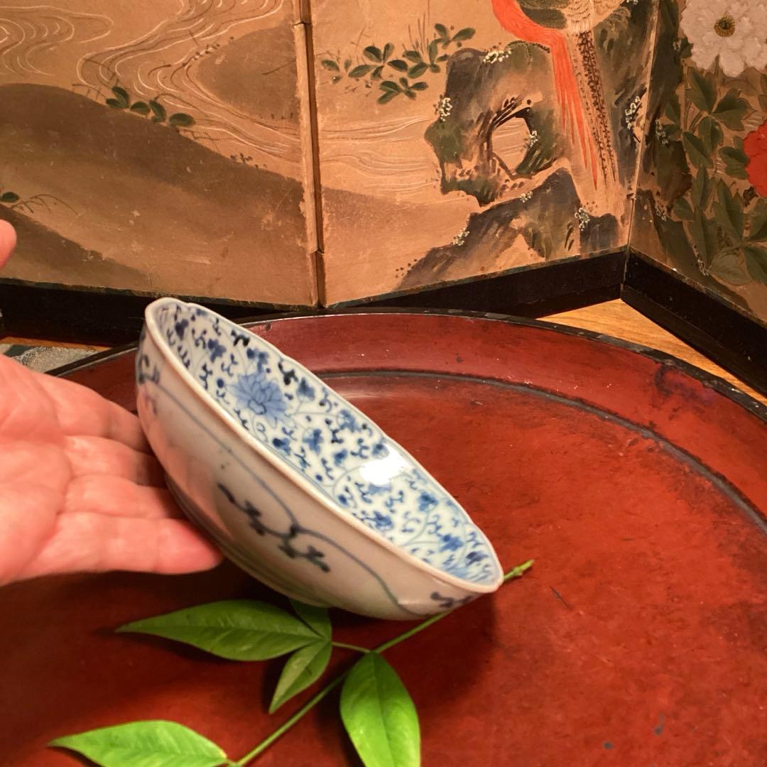 A995❶古伊万里　染付（柿右衛門）花唐草　見込栗紋様　輪花型　膾皿　1枚