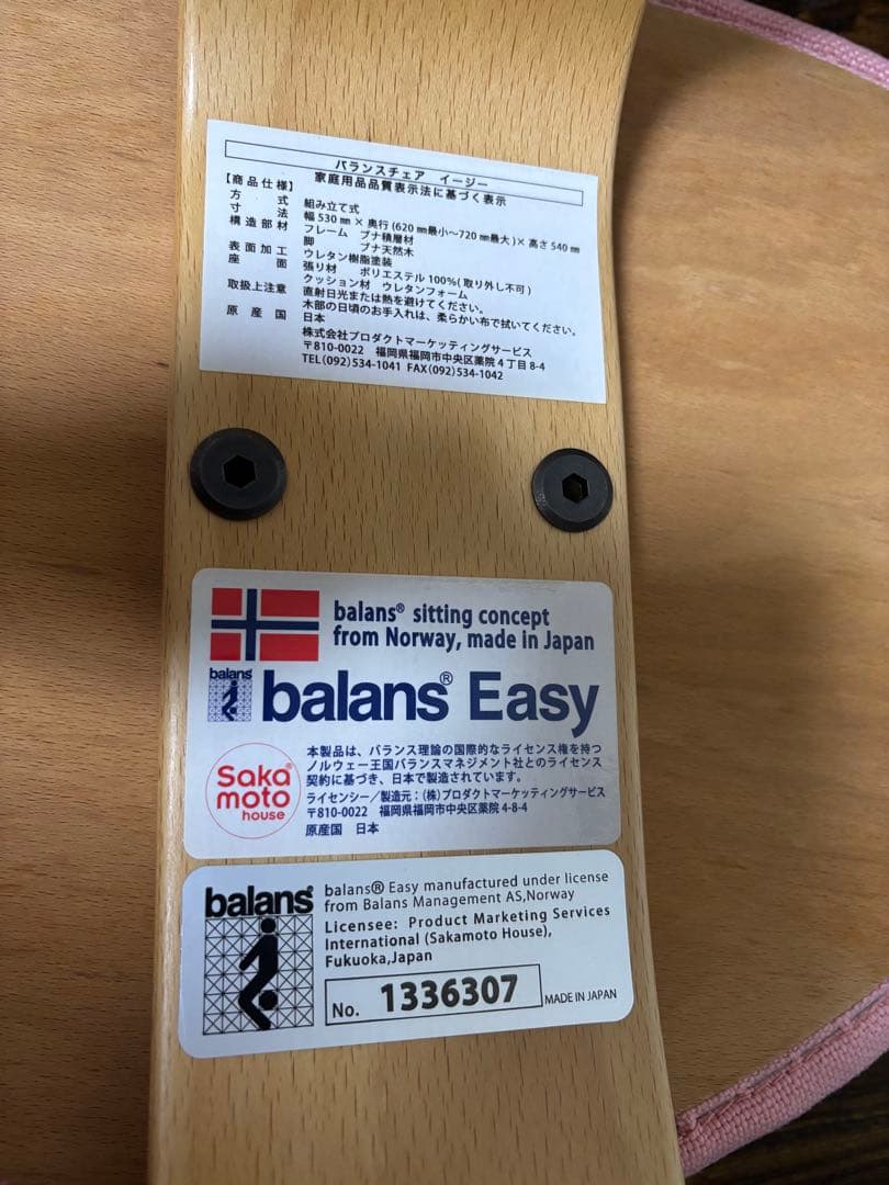 Rybo Balans EASY バランスイージー バランスチェア　カバー付き