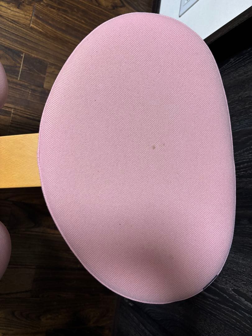 Rybo Balans EASY バランスイージー バランスチェア　カバー付き