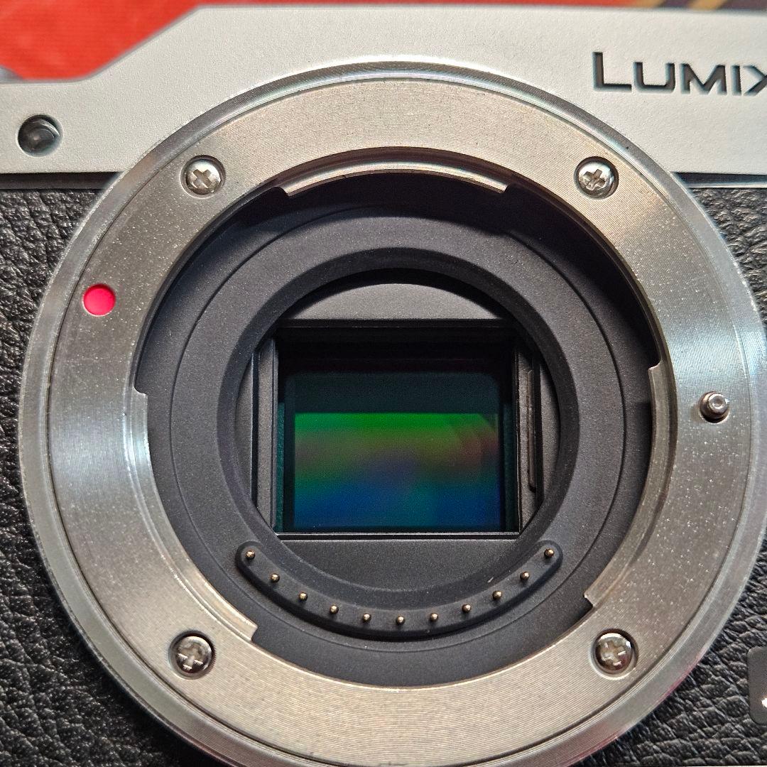デジタルカメラ Panasonic Lumix GF9