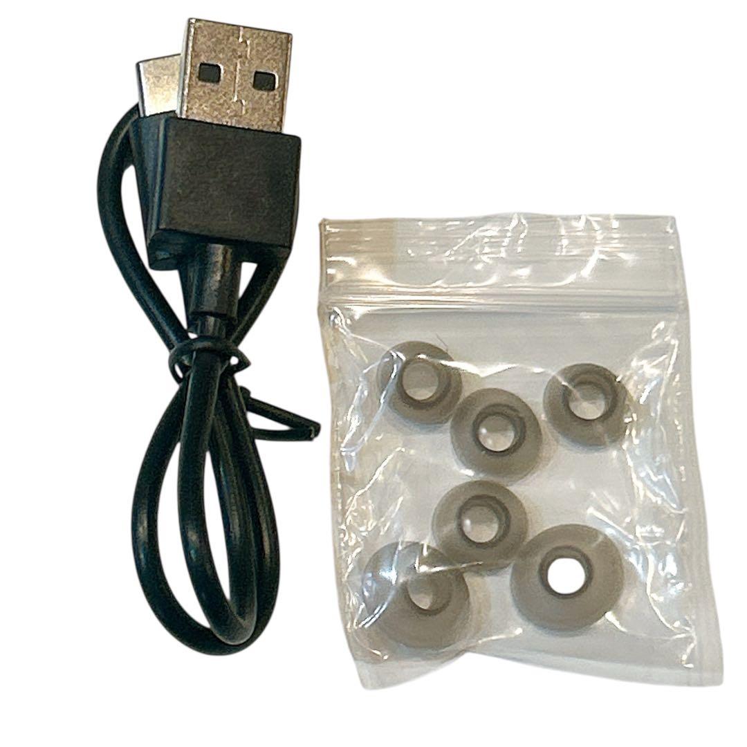 【極美品】AVIOT × ウマ娘 プリティーダービー コラボ　TE-Q3-UPD