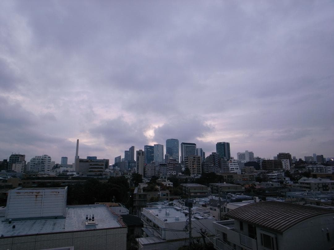 RICHO GR DIGITALⅡ 別売ワイコン、Headporterケース他