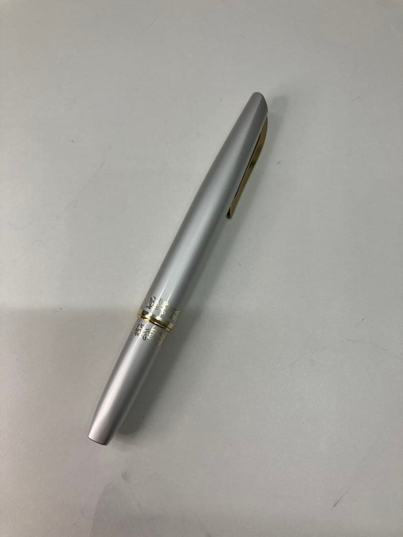 万年筆2本セット ペン先14K PLATINUM プラチナム　14K【A916】