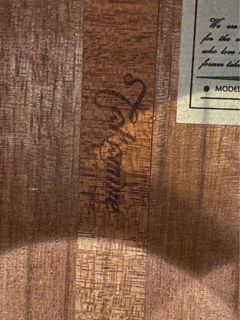 Takamine PT106 エレアコ ギター ハードケース付き