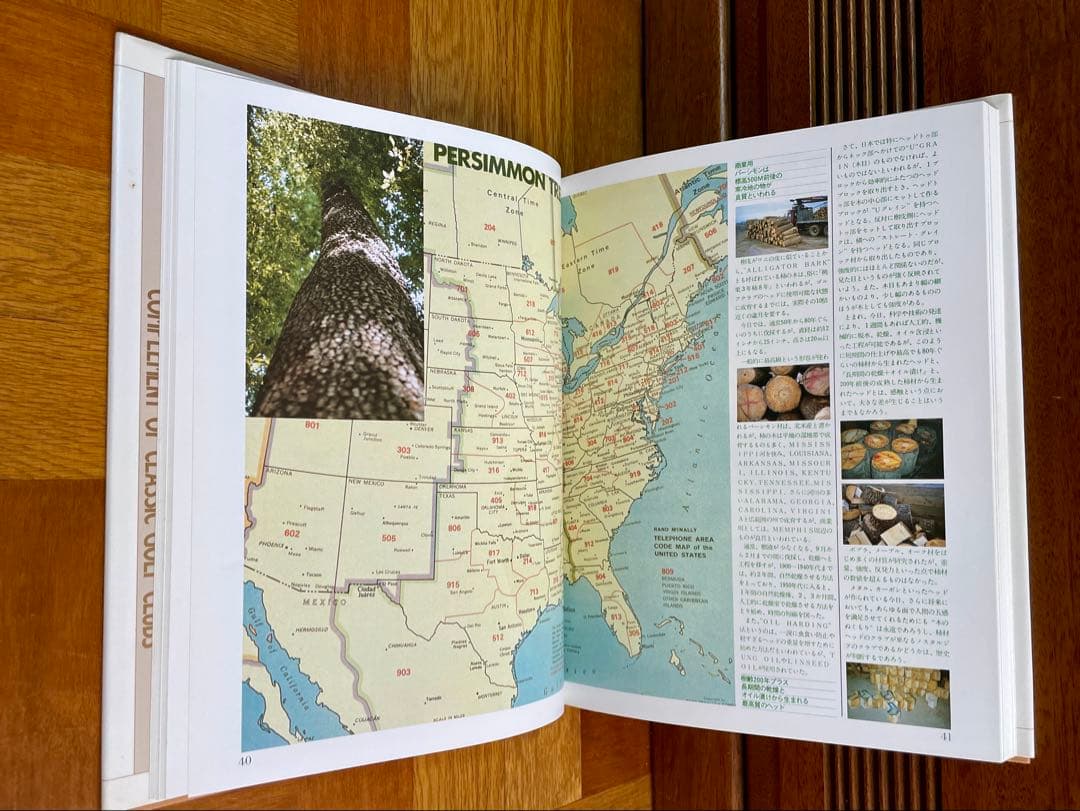 名器の系譜 クラシックゴルフ大観 Classic Golf Clubs