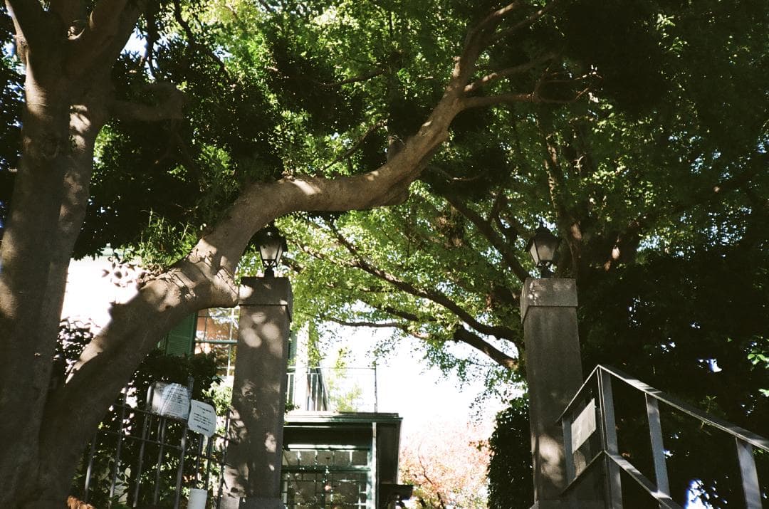 美品 KONICA C35 flashmatic 738957【整備・試写済】