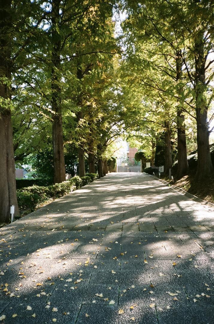 美品 KONICA C35 flashmatic 738957【整備・試写済】