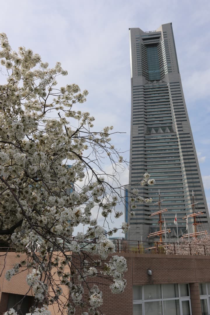 EF17-40mm F4L USM 広角ズームレンズ/L