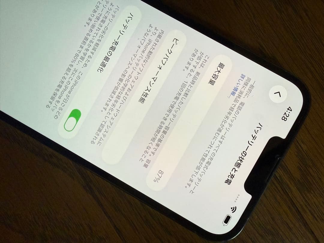 Apple iPhone 13 Pro 1TB ジャンク