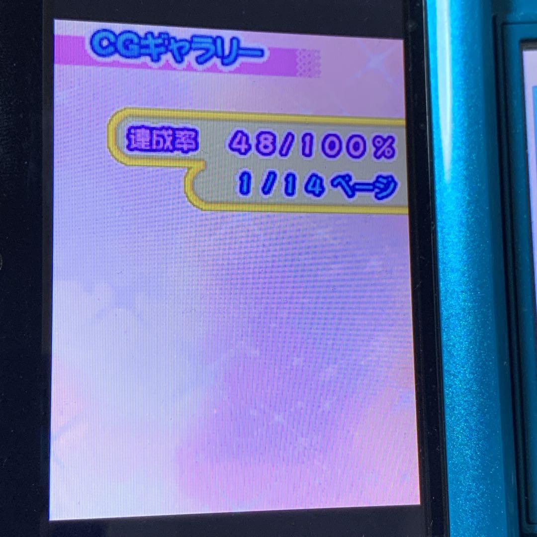 テニスの王子様 DS もっと学園祭の王子様 ぎゅっと! ドキドキサバイバル