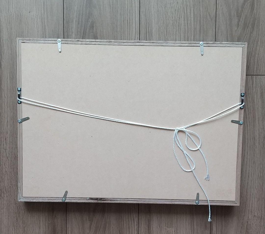 新品 wtw フォト 写真 インテリア