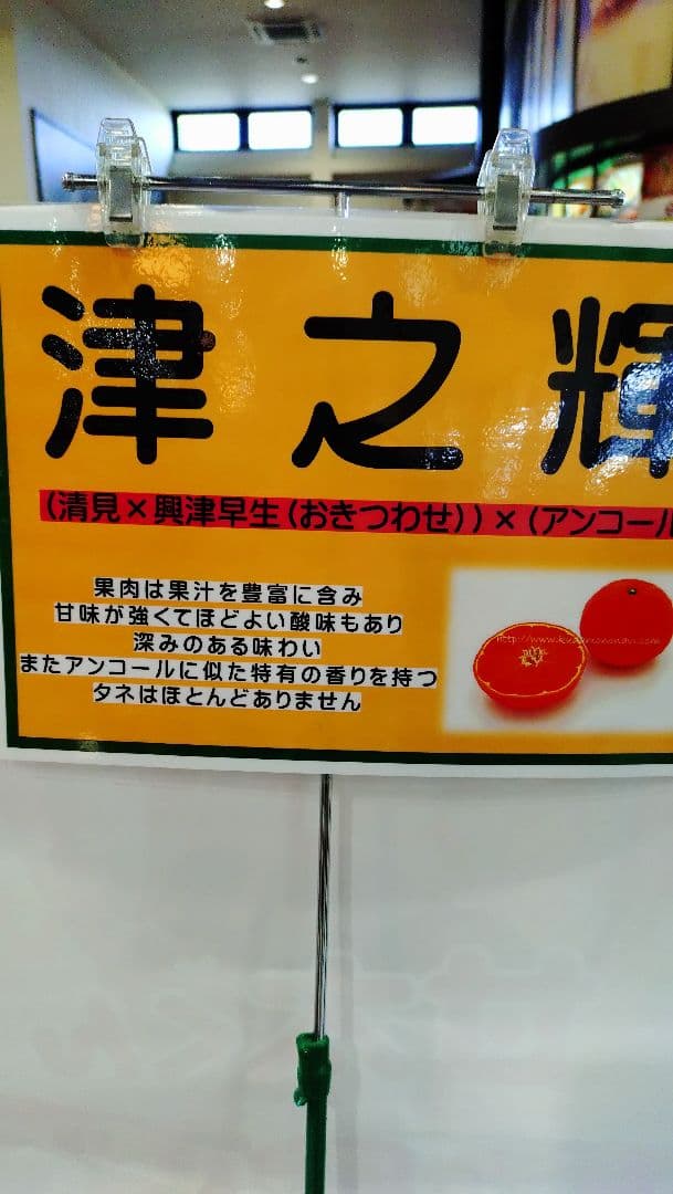 限定販売品！「津の輝」「せとか」３年生セット販売品！