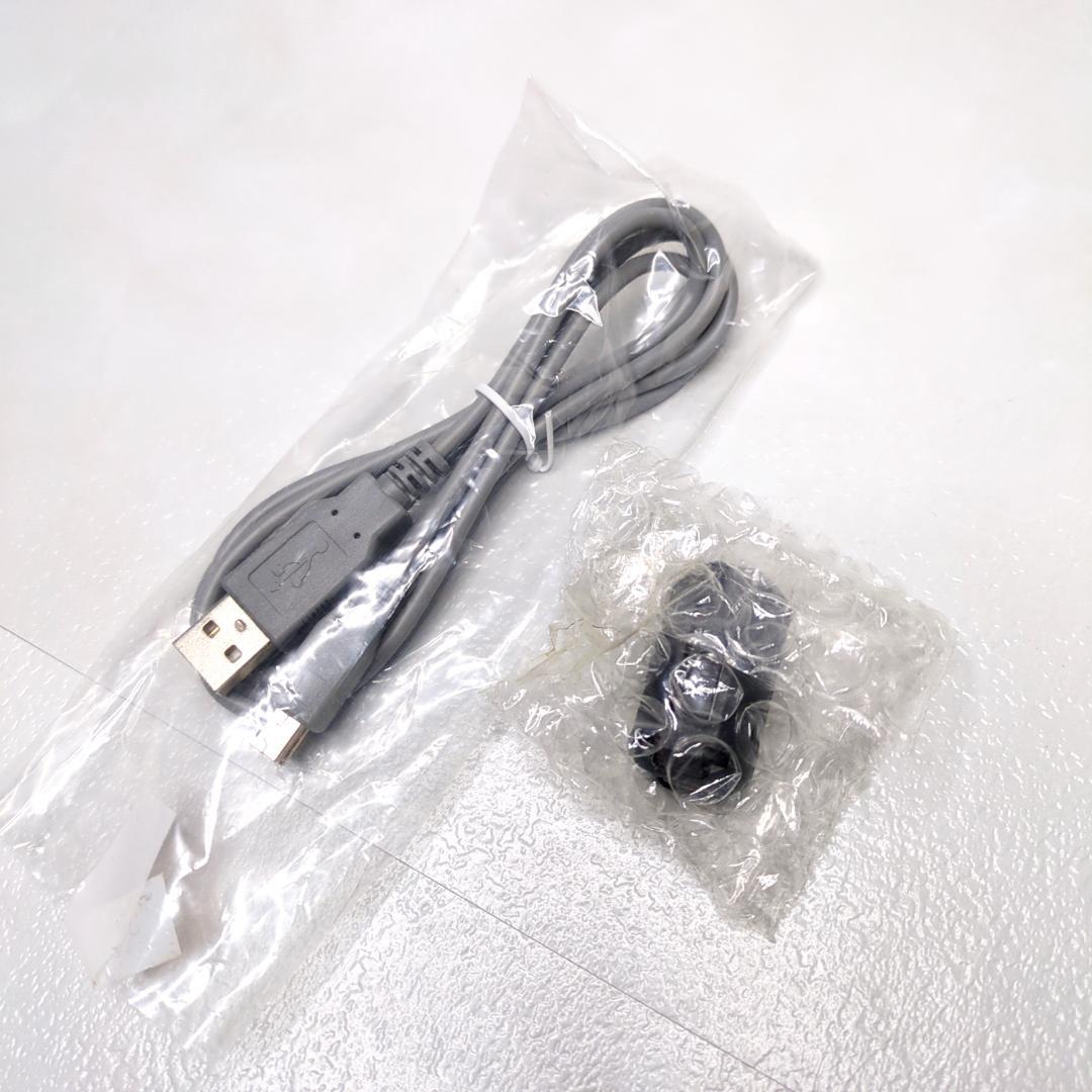 JVC Everio GZ-VX770 エブリオ ビデオカメラ 箱付