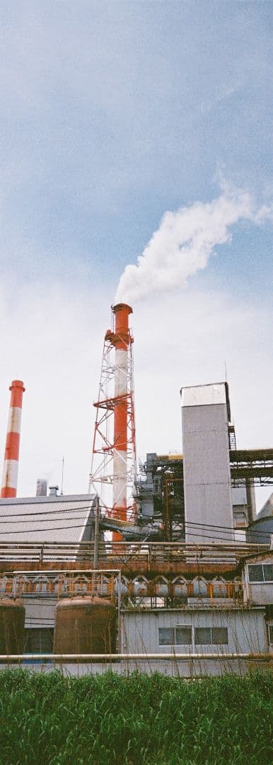 動作確認済&説明書付属 Nikon AF600 コンパクトフィルムカメラ 作例有