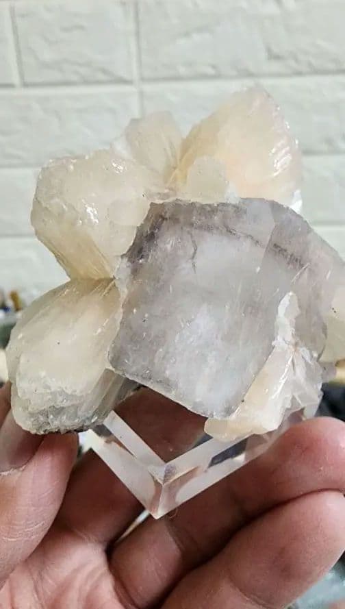 蛍石上のゼオライト