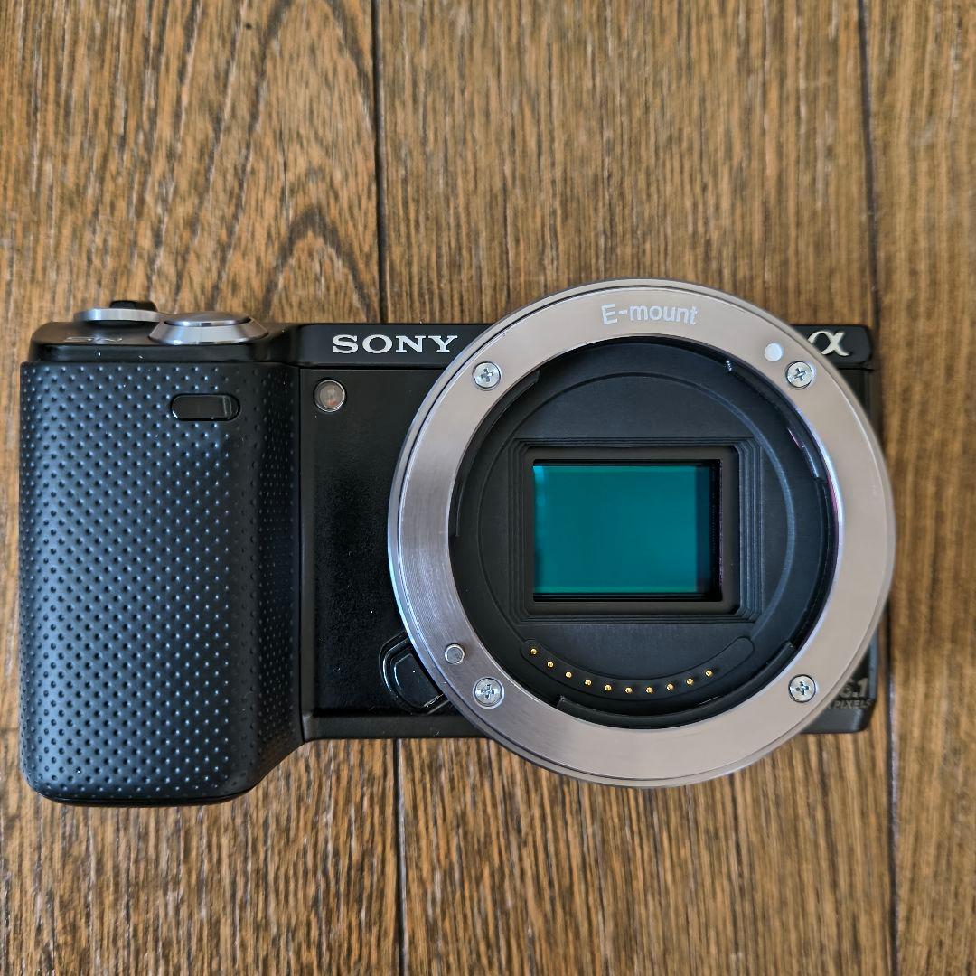 ピンクの猫 SONY NEX-5N ズームレンズ+外付けフラッシュ