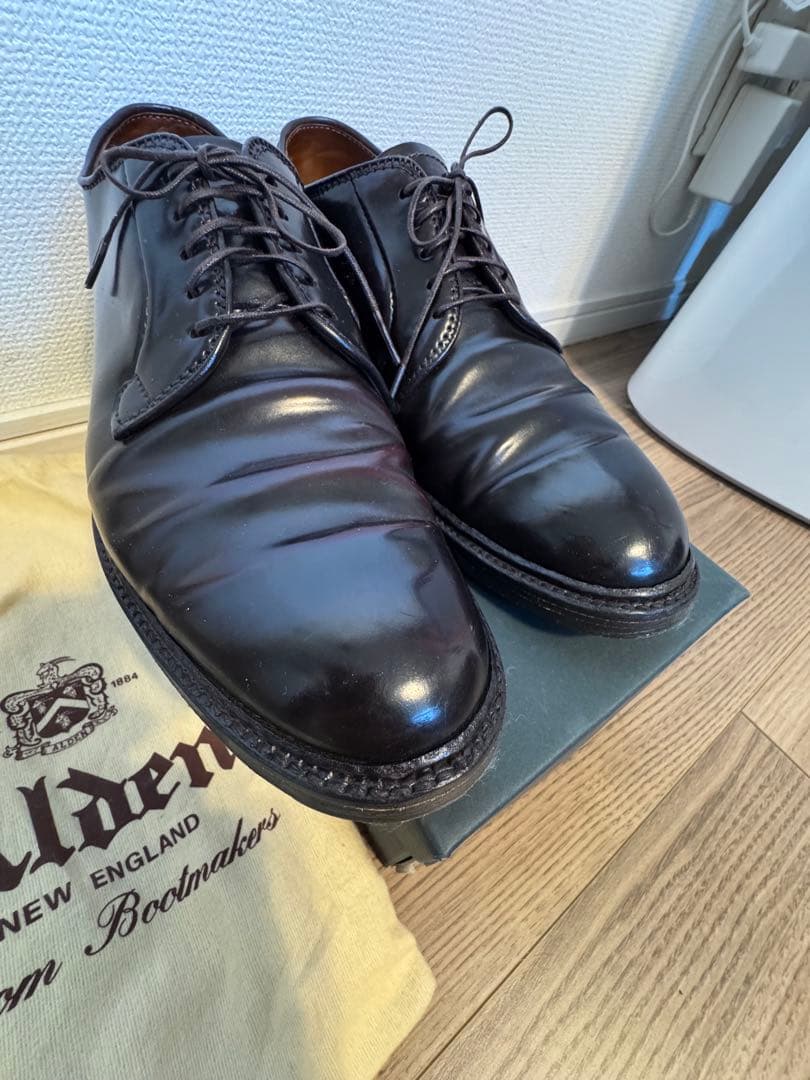 【美品】Alden 990 コードバン 8 1/2D 箱保存袋付き　シューツリー