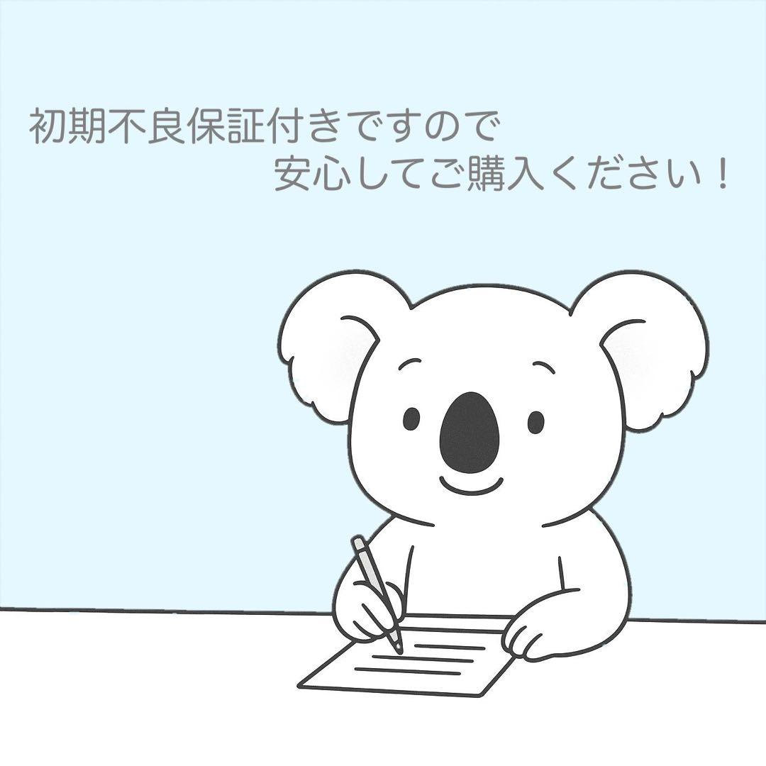 SONY DCR-TRV30 ビデオカメラ 美品 a5187