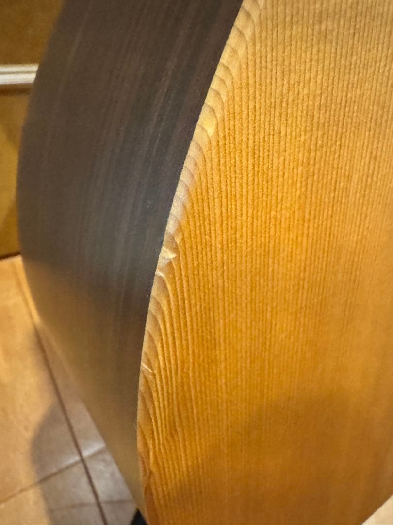 Martin GPCX1RAE マーチン エレアコ 純正ハードケース付