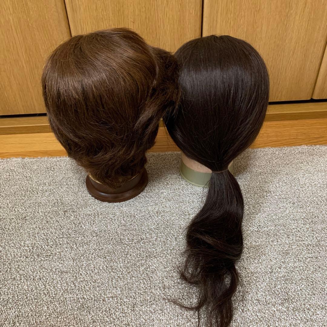 カットウィッグ　練習用　まとめ売り　12体