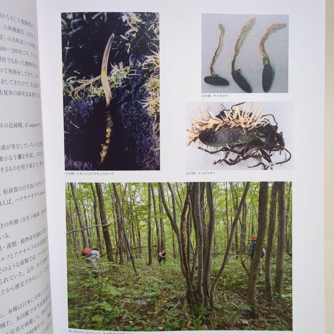 冬虫夏草生態図鑑 採集・観察・分類・同定、効能から歴史まで 240種類