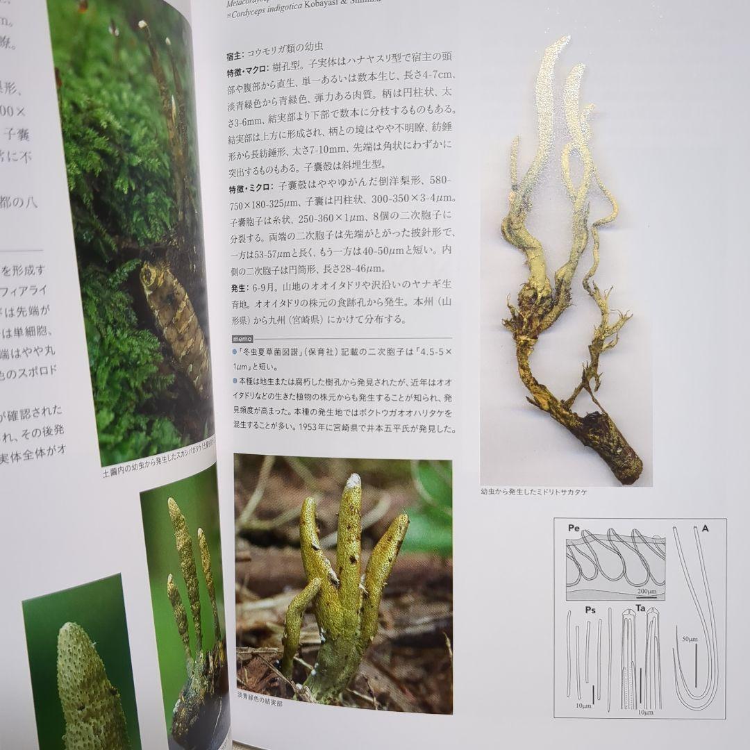 冬虫夏草生態図鑑 採集・観察・分類・同定、効能から歴史まで 240種類