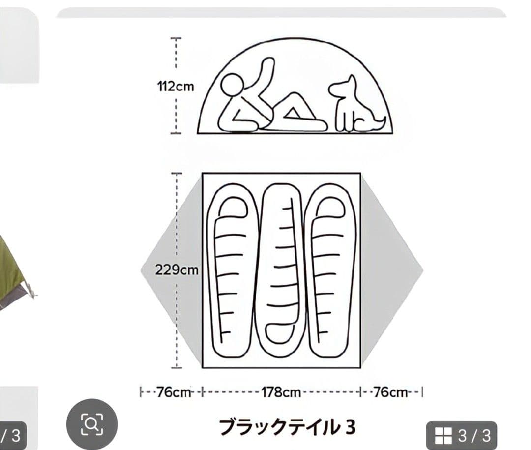 アメリカアウトドア「BIG AGNES」のBlacktail 3 グリーンテント