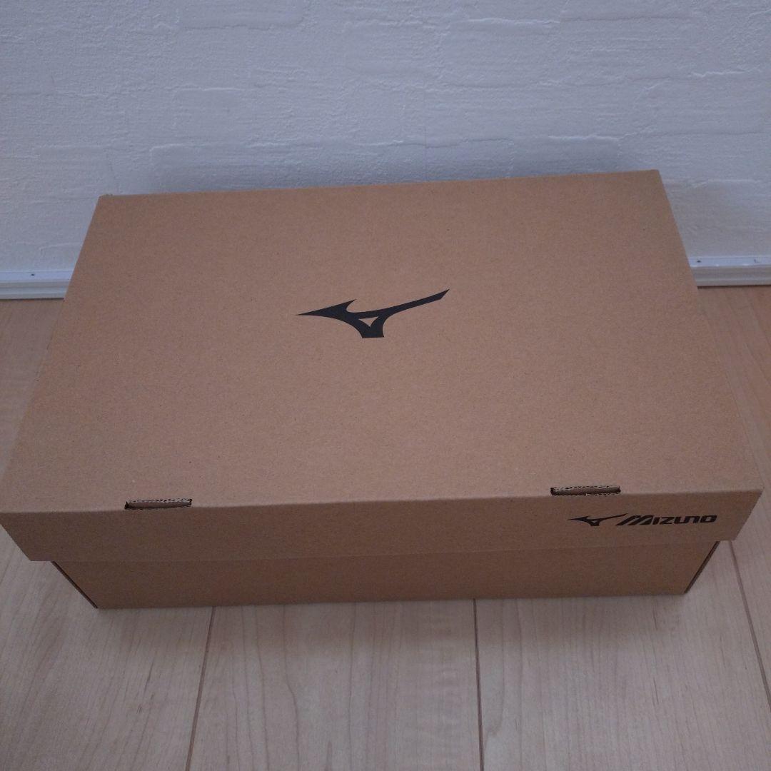 MIZUNO 安全靴