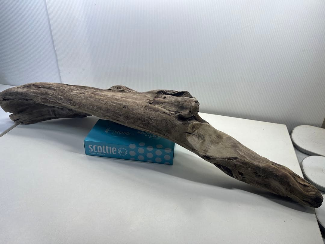 V84特大流木 アク抜き済み流木 爬虫類シェルター 登り木 インテリア 生け花