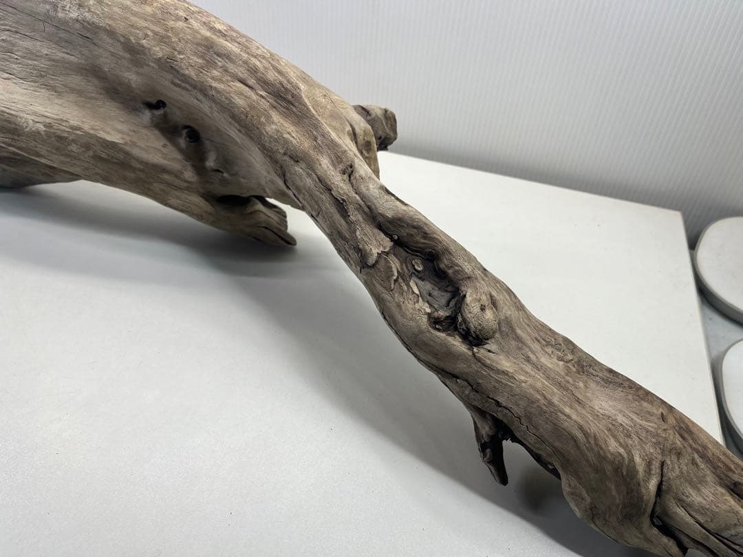 V84特大流木 アク抜き済み流木 爬虫類シェルター 登り木 インテリア 生け花