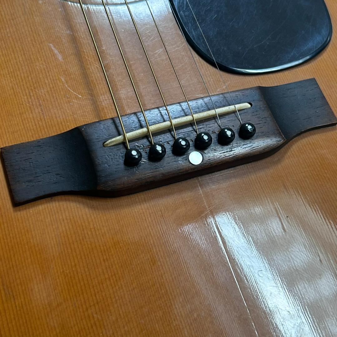 ジャパンヴィンテージ　Aria アコースティックギター ハードケース付き