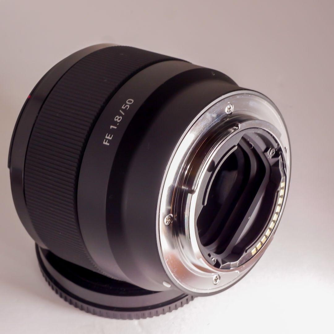 極上完動美品 SONY ソニー 標準単焦点 フルサイズ FE 50mm F1.8
