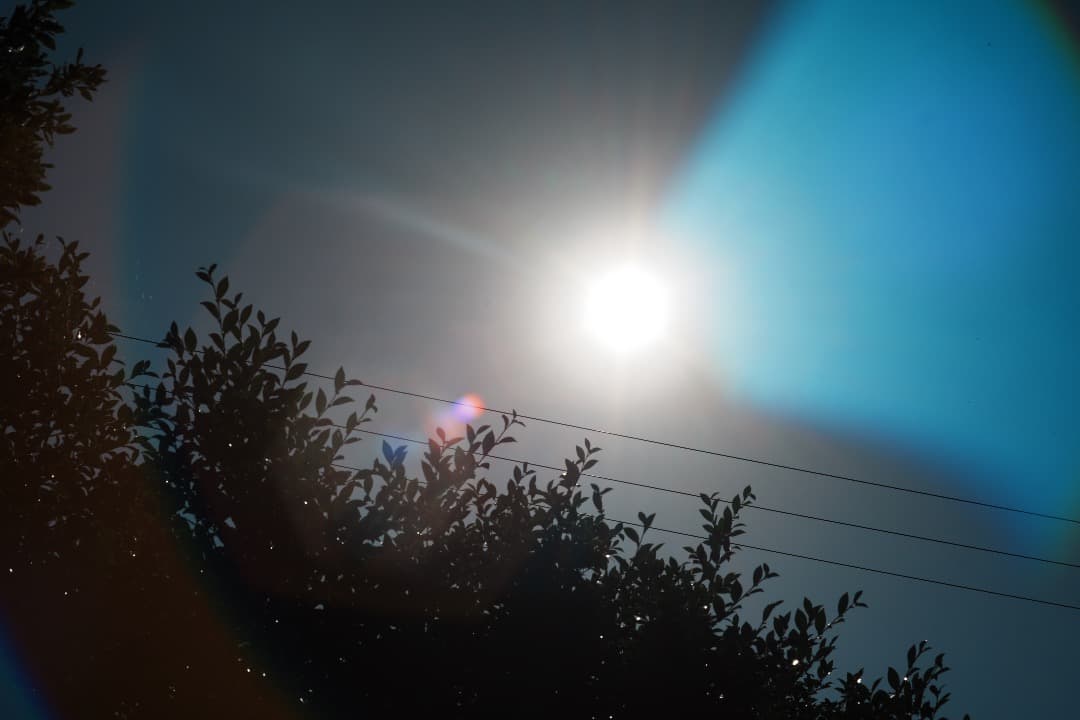 【整備＆テスト済】ミノルタ MC ROKKOR-PF 58mm F1.4 443