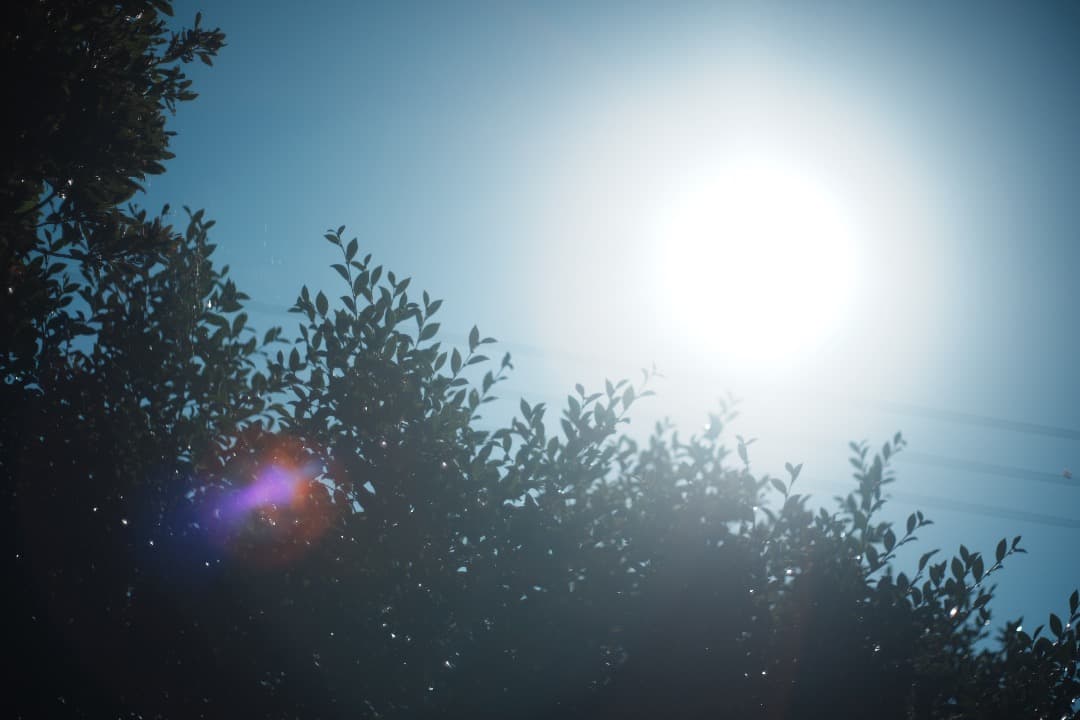 【整備＆テスト済】ミノルタ MC ROKKOR-PF 58mm F1.4 443