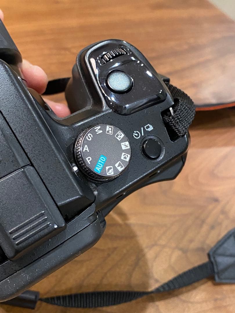 SONY α100 CCDデジタル一眼 75-300 28-80 2本動作品