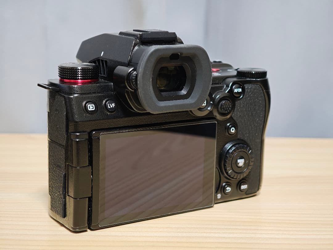 Lumix S5M2 本体