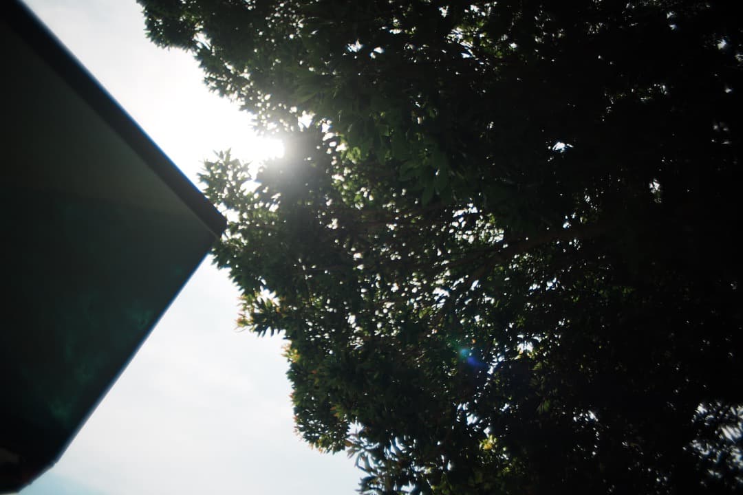 【美品】動作◎ オリンパス Zuiko auto-w 24mm F2 167