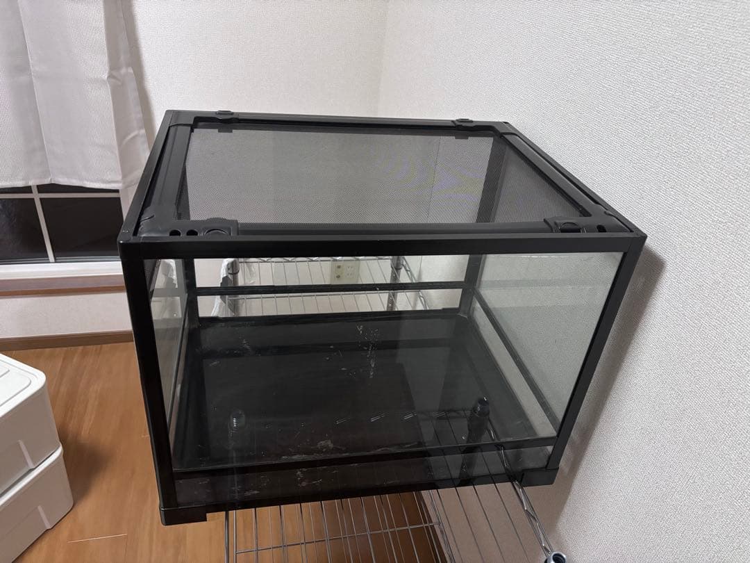 gotパンテオン6045