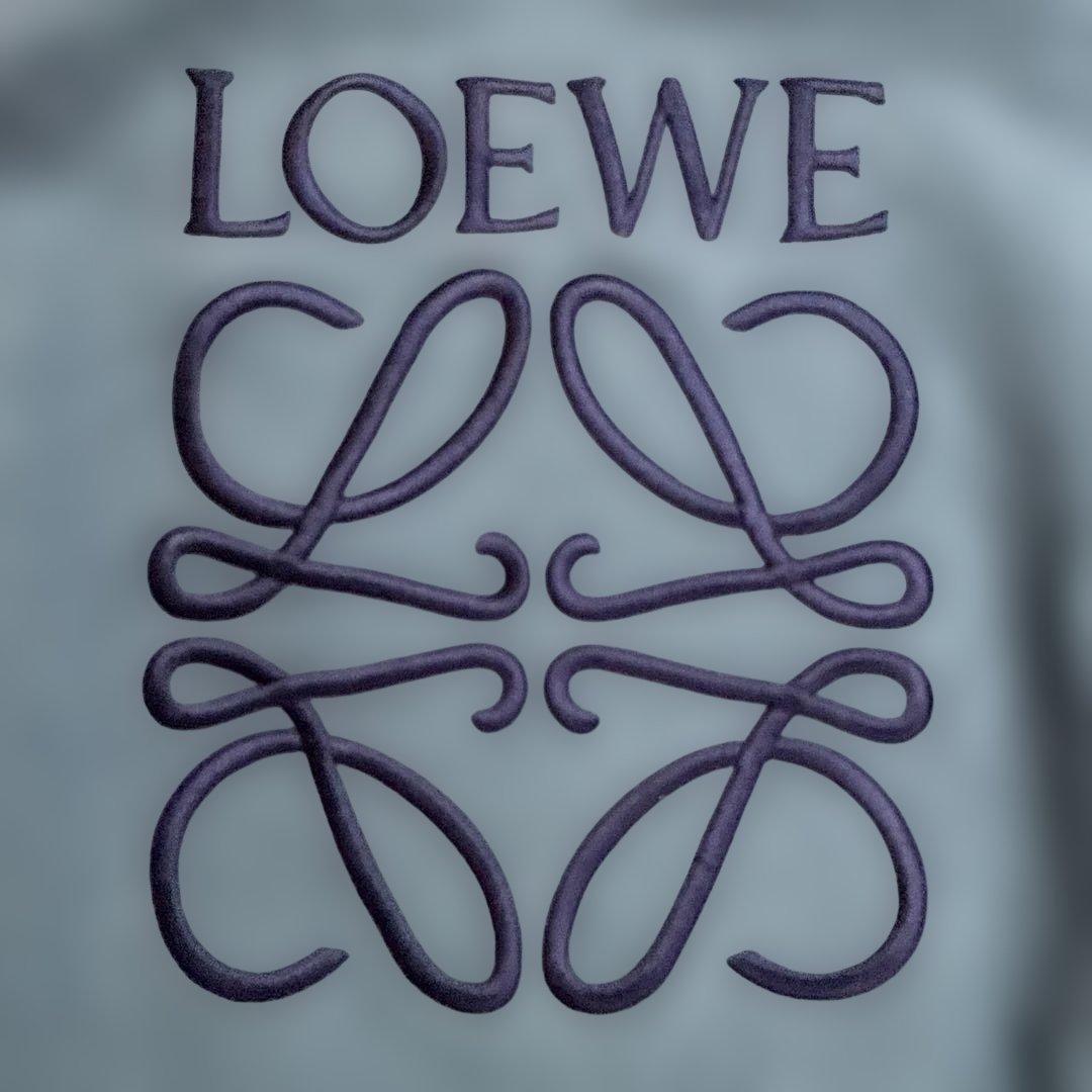 ロエベ　訳あり　アナグラム　エンブロイダリースウェット　XSサイズ