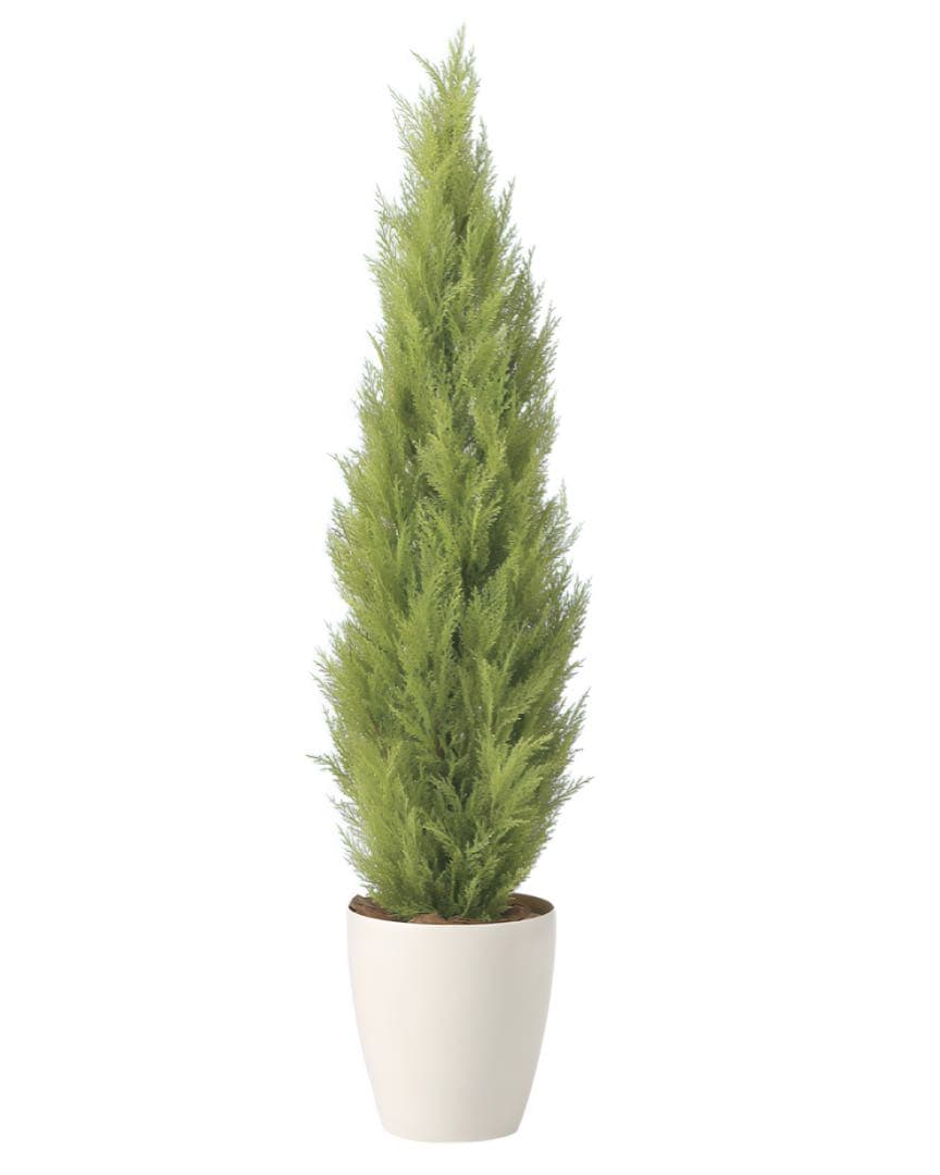 光触媒　人工観葉植物　フェイクグリーン　ゴールドクレスト1.35