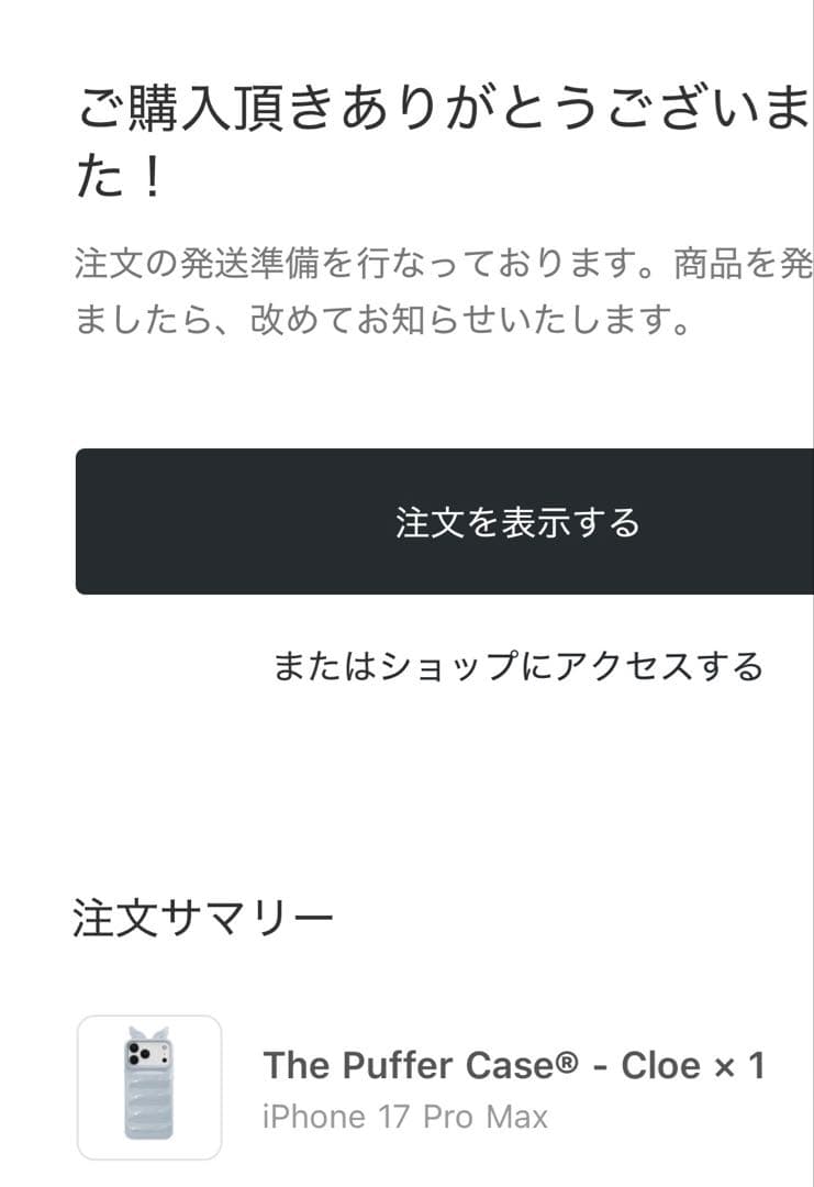 Urban SophisticationスマホケースiPhone17ProMax