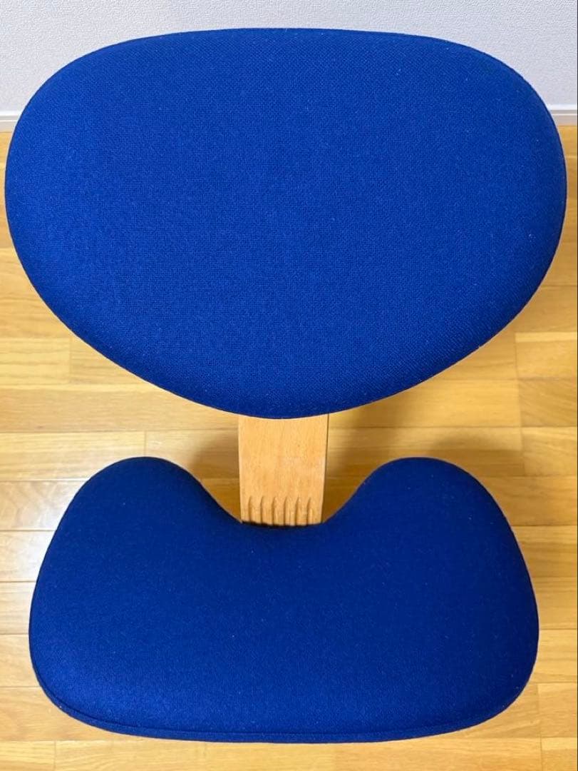 Rybo社 リボ社　［専用カバー付]　バランスチェア イージー