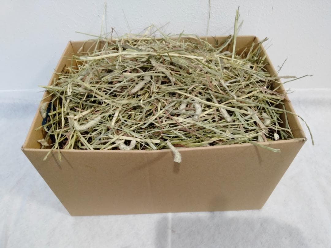 US産 チモシー 50kg ２番刈り ソフトSプレミアム