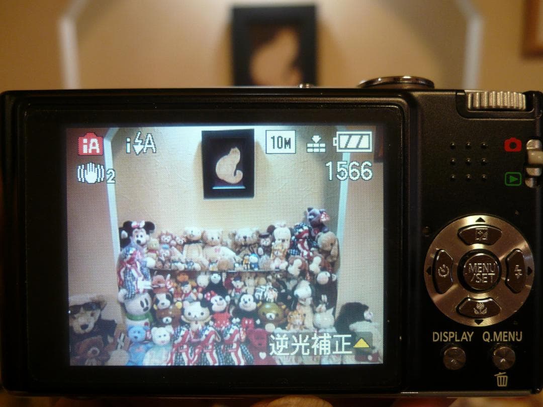 LUMIX★DMC-FX35⚠️必読有⭕️安心の実働品★光学４倍★1010万画素