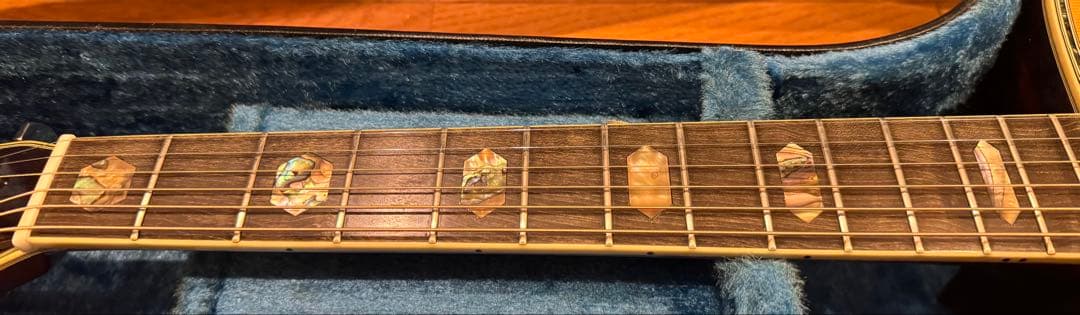 ギター Morris W-80