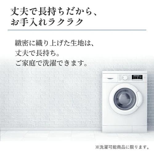 【新品】昭和西川 ウォッシャブル2枚合わせ掛け布団《SNフレッシュプロ》ダブル